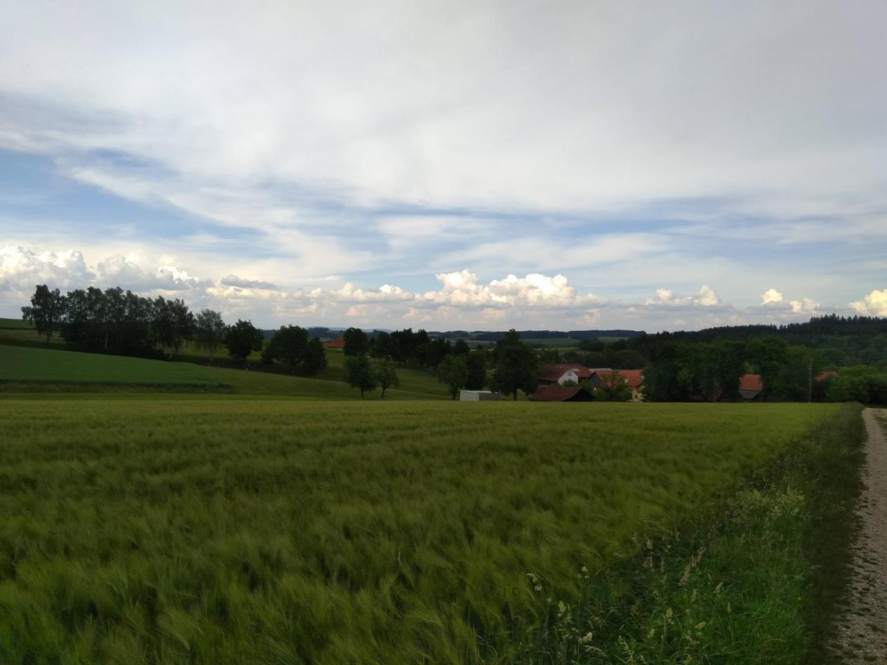 Gasthaus Schachinger Tumeltsham Extérieur photo